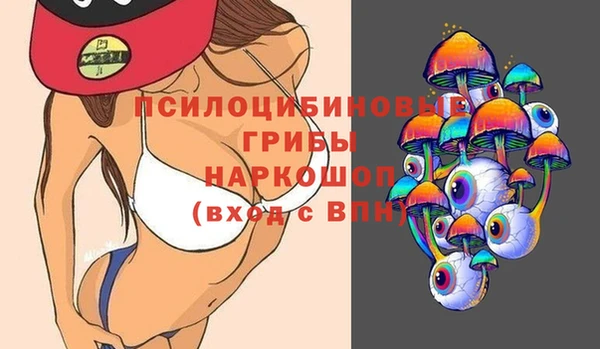 первитин Алексин