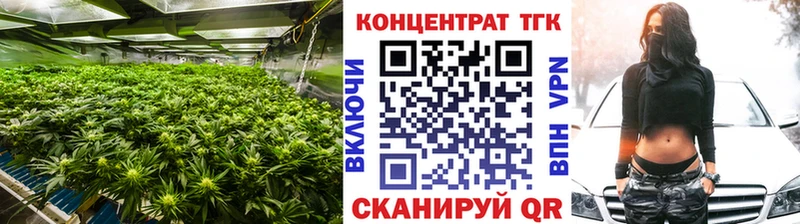 ТГК Wax  Находка 