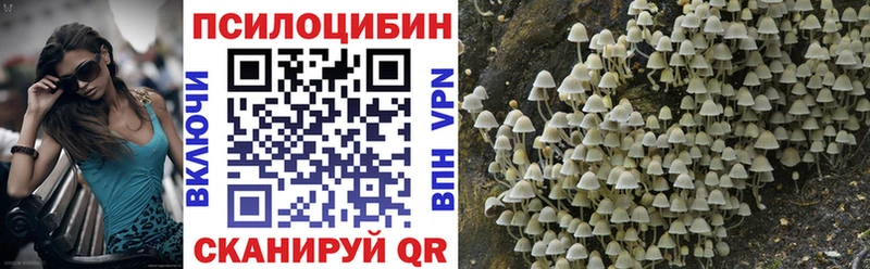 Псилоцибиновые грибы Psilocybine cubensis  где купить наркоту  Находка 